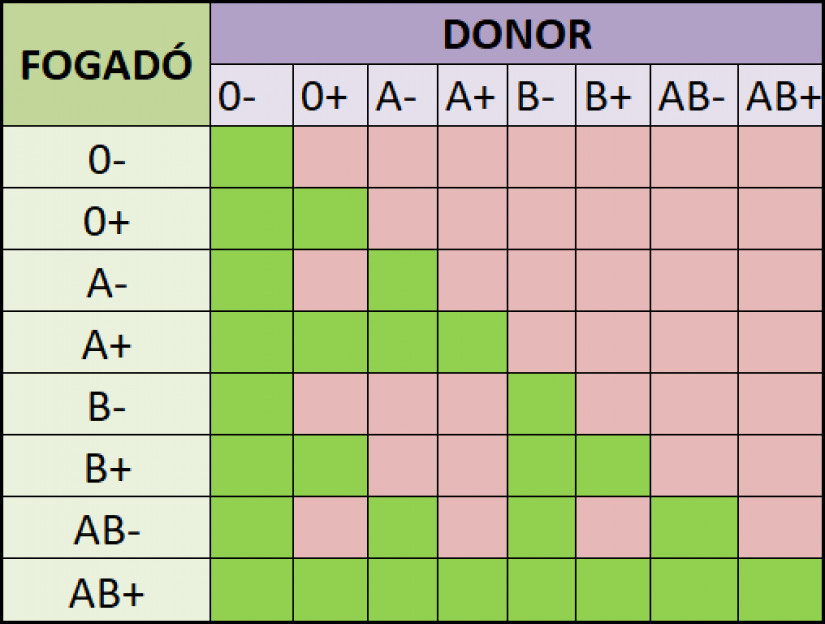 Véradományozás táblázat: ki kinek adhat vért?