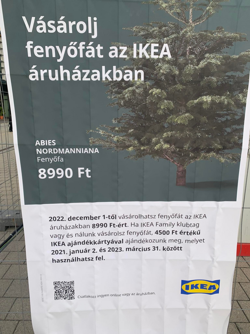 Ennyi lesz a karácsonyfa az IKEA-ban. Foró: olvasónk