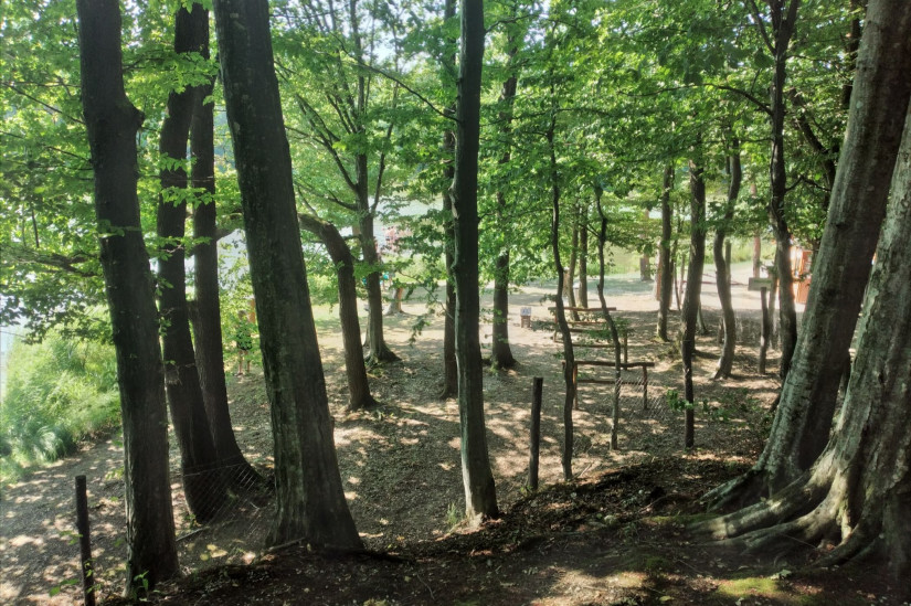 Ez nem dzsungel, ez az őrségi strand bejárata. Fotó: Pais-H Szilvia