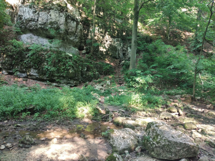 Cuha-patak völgyében (Fotó: Pais-H Szilvia)