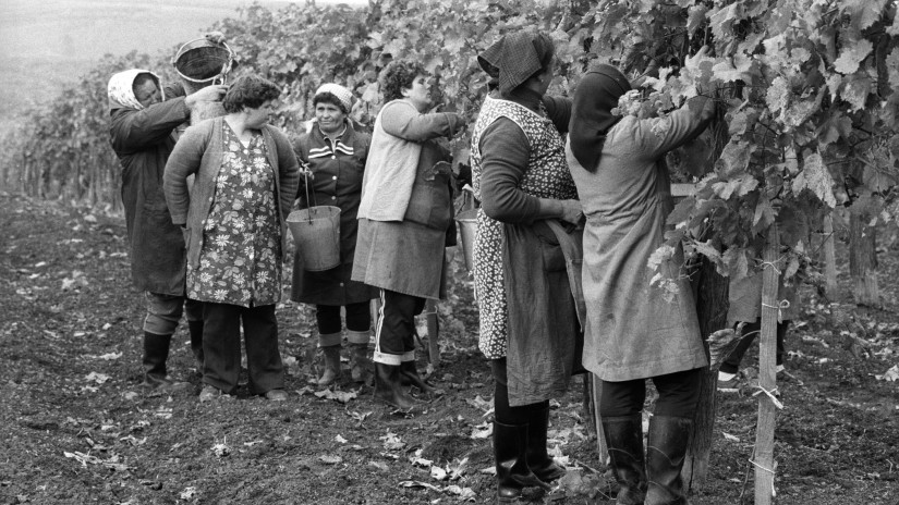 El se hiszem, de ezen a fotón épp egy nő puttonyozik. A 80-as évek közepén járunk. (Fotó: Fortepan / Erdei Katalin)