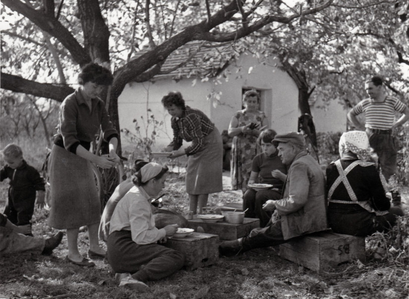 Szüret utáni falatozás Kecskeméten, 1959-ben (Fotó: Fortepan: Kieselbach Tamás)
