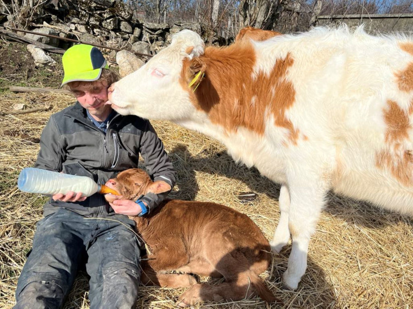 Életkép Lókútról (Fotó: Hadi Júlia)