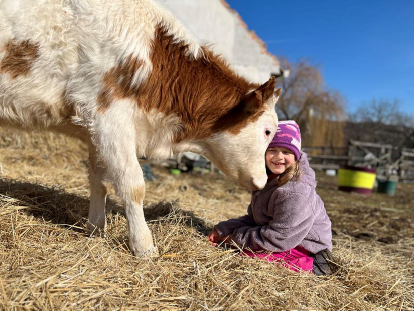 Életkép Lókútról (Fotó: Hadi Júlia)