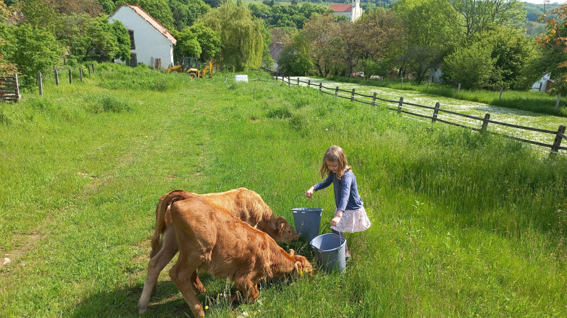 Életkép Lókútról (Fotó: Hadi Júlia)