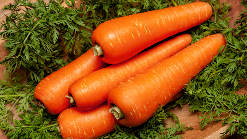 Berlicum sárgarépa