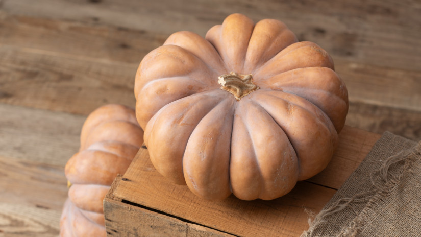 Muskotályos sütőtök