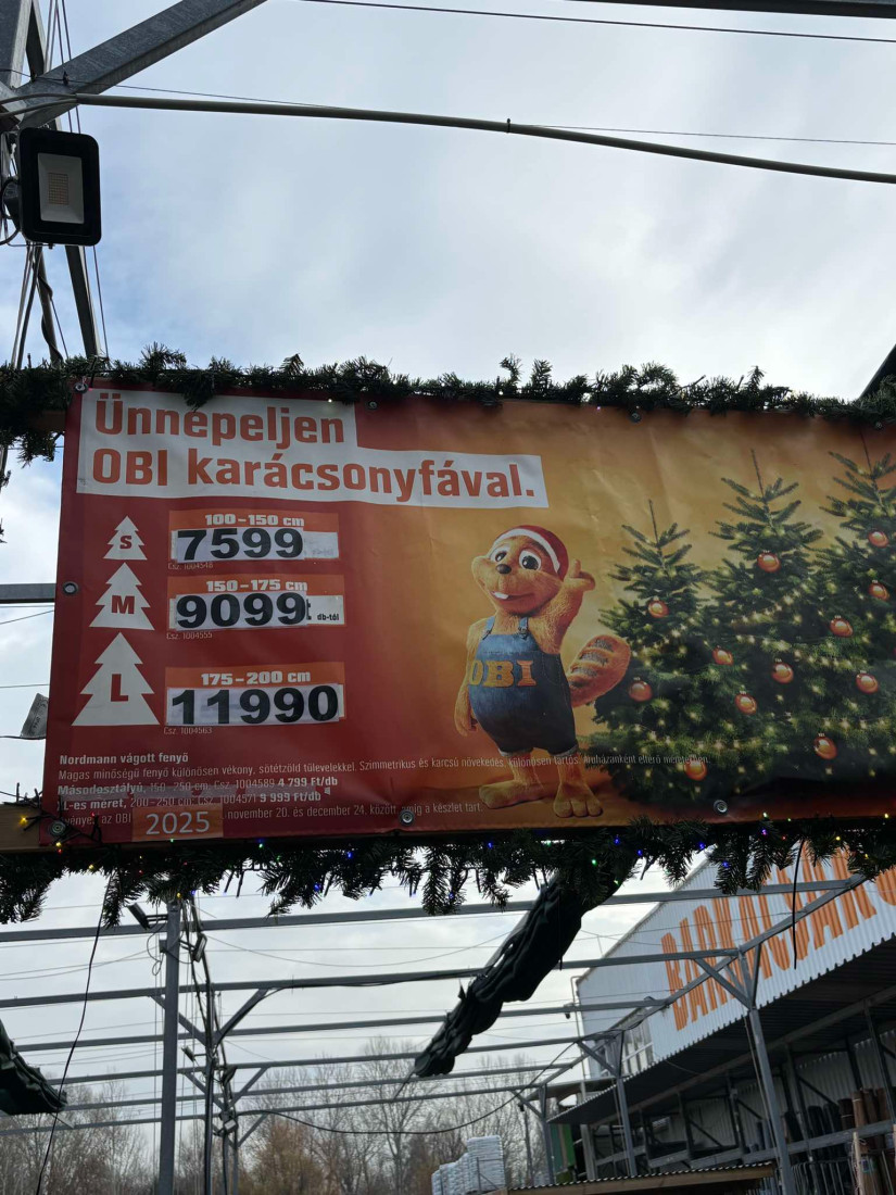 Olvasói levél az OBI-ban található fenyőfa árakról.