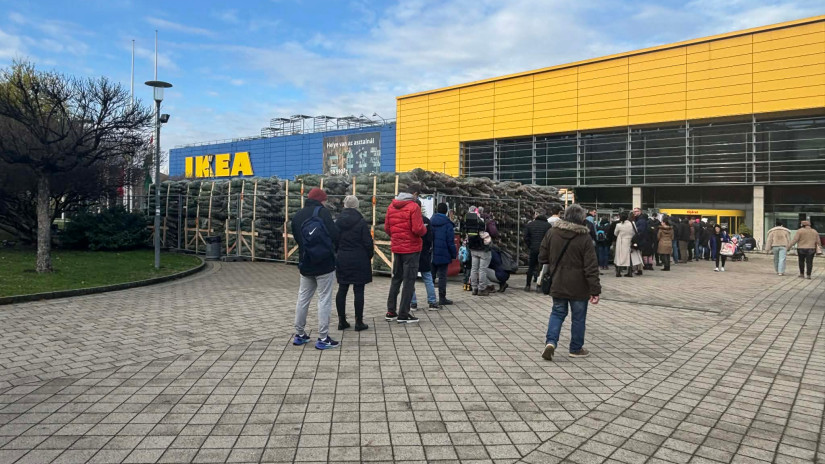 Rengetegen szeretnének venni az olcsó fenyőfából. Fotó: olvasónk