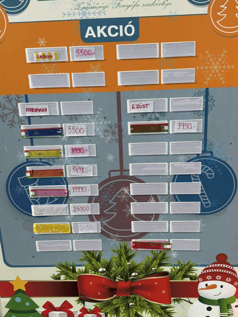 Ennyiért adják a fenyőfákat az Auchannál. Fotó: olvasónk