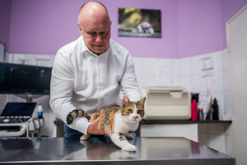 fotó: Berecz Valter