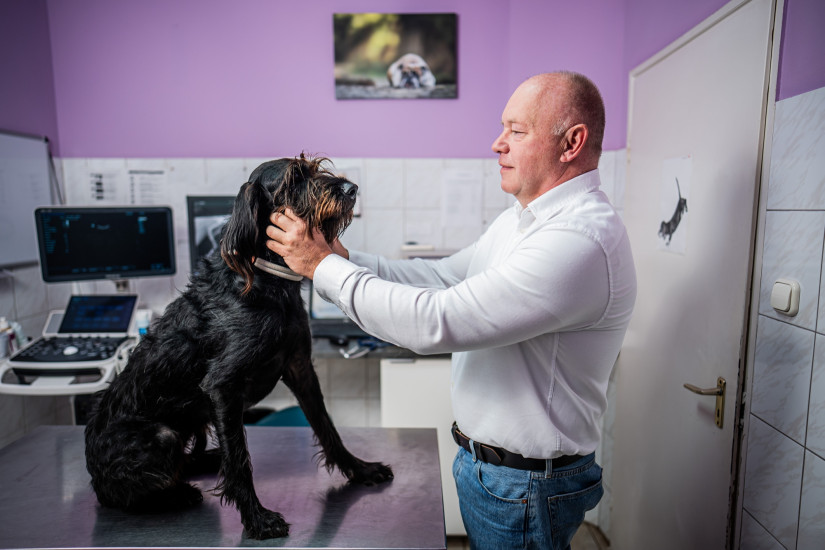 fotó: Berecz Valter