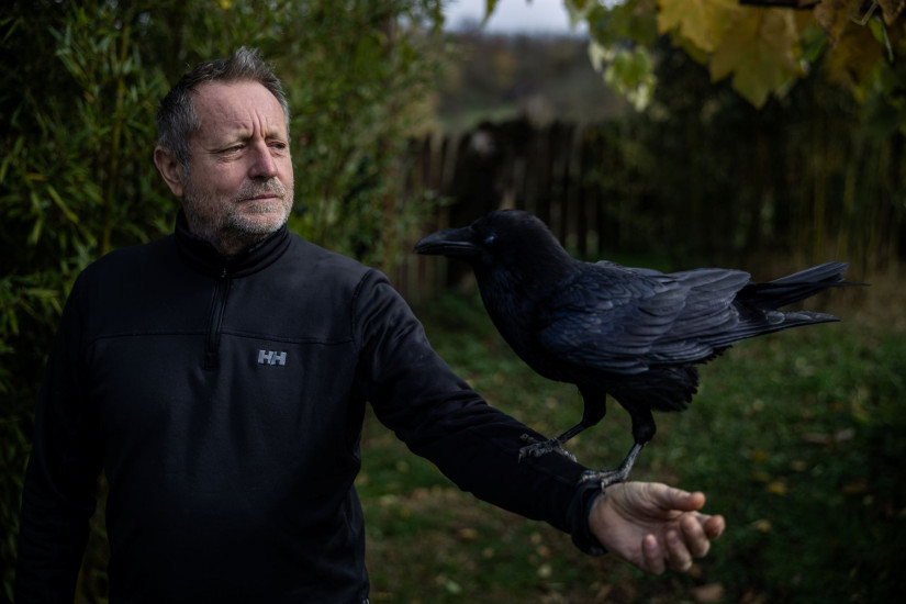 Kassai Lajos szelíd hollójával (Fotó: Stiller Ákos)