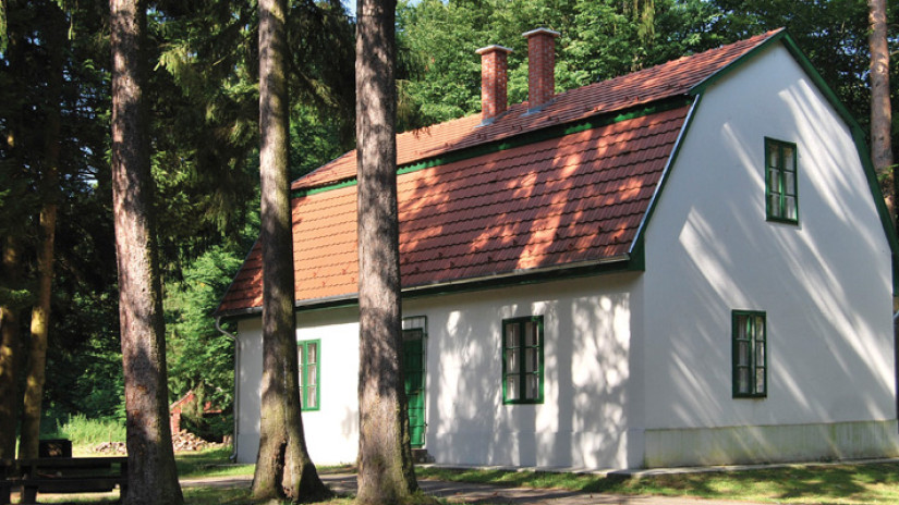 Fotó: https://www.bakonyerdo.hu/