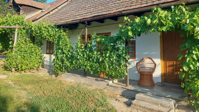 Tornác árnyékolása szőlővel (Fotó: Szabó Miklós)