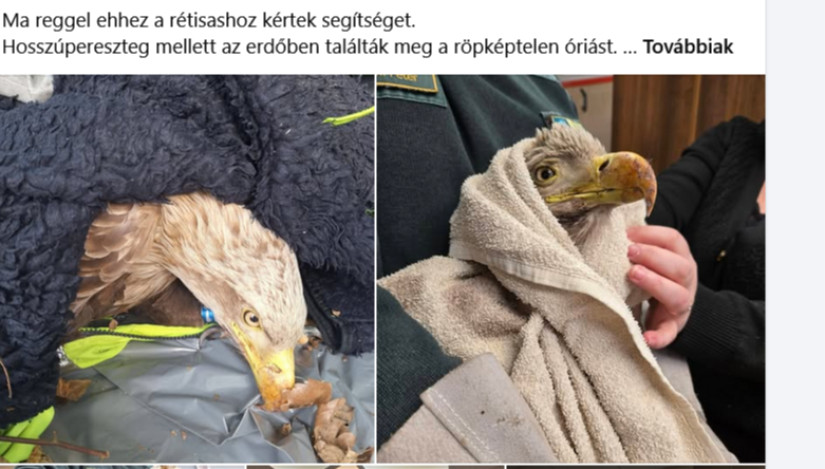 Fotó: Facebook / Minárcsik Sanyi