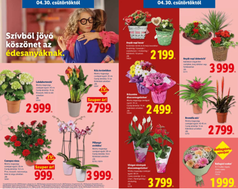 Forrás: Lidl 18. heti akciós újság
