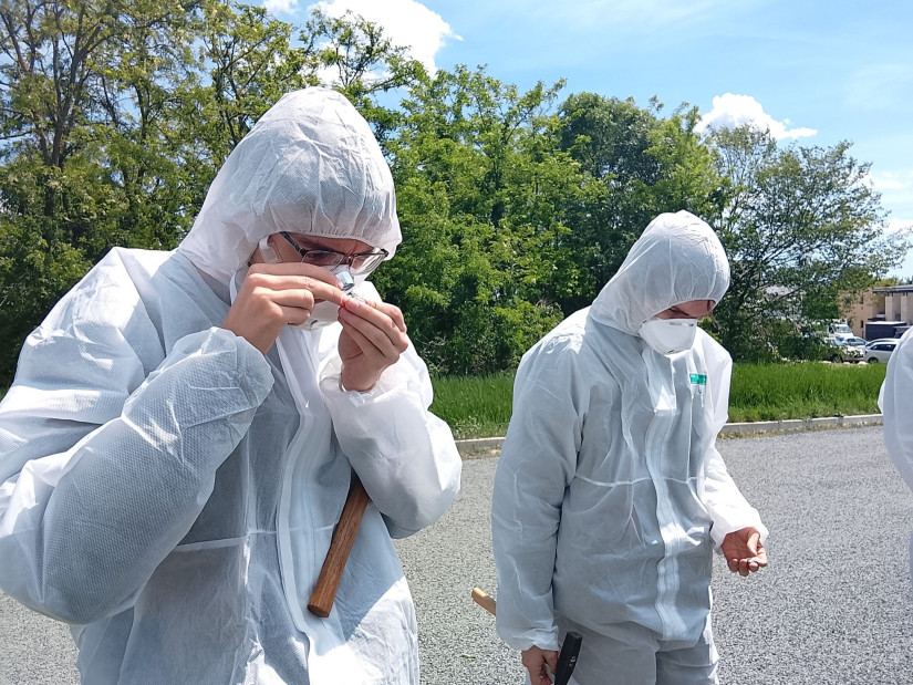 A Greenpeace munkatársai vizsgálódnak a helyszínen (Fotó: Pais-H Szilvia)