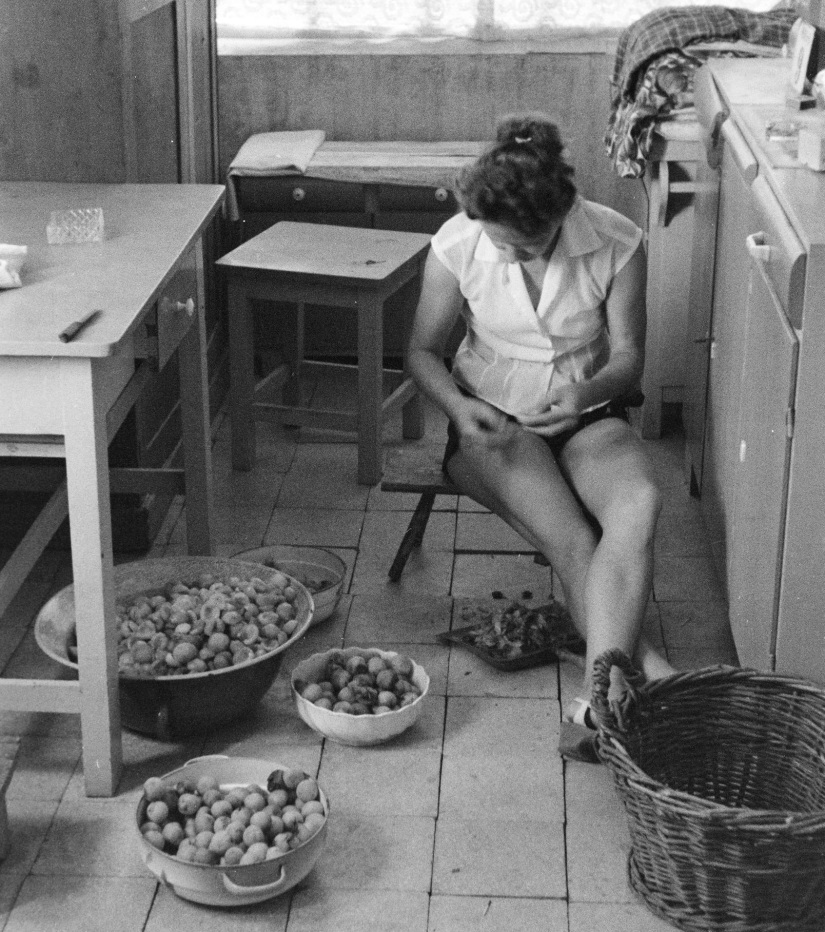 Befőzés - Fortepan / Krantz Károly 1962