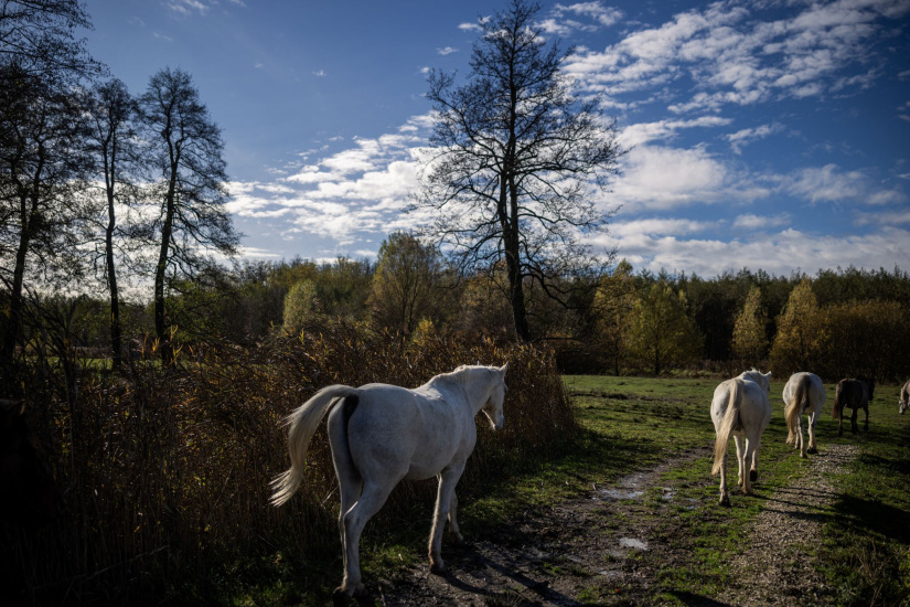 A Kassai völgyben (Fotó: Stiller Ákos)