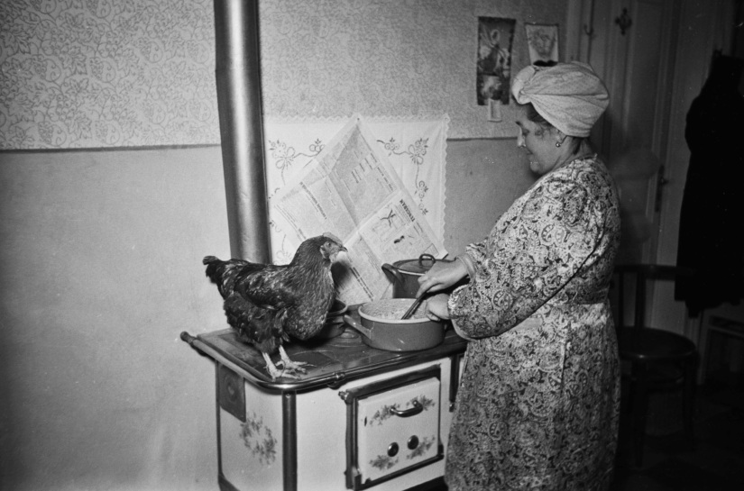 Fura életkép a Fortepanról, amin azért jól látszik, milyen is volt egy jó sparhelt 1949-ben (Fotó adományozó: Kovács Márton Ernő)