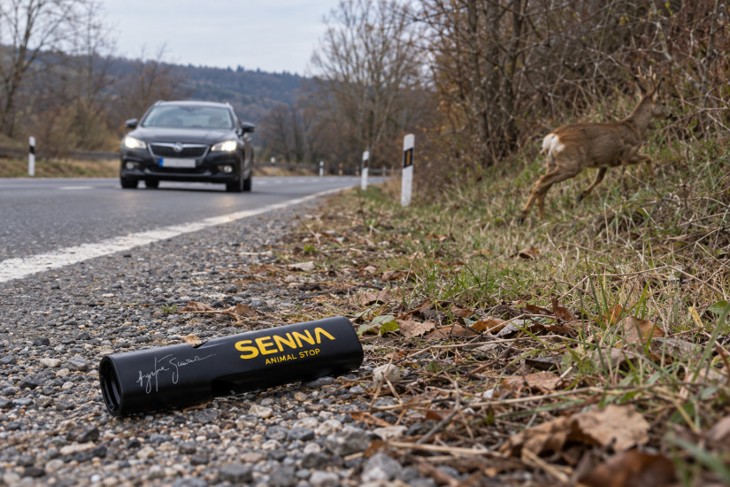 fotó: SennaProtect