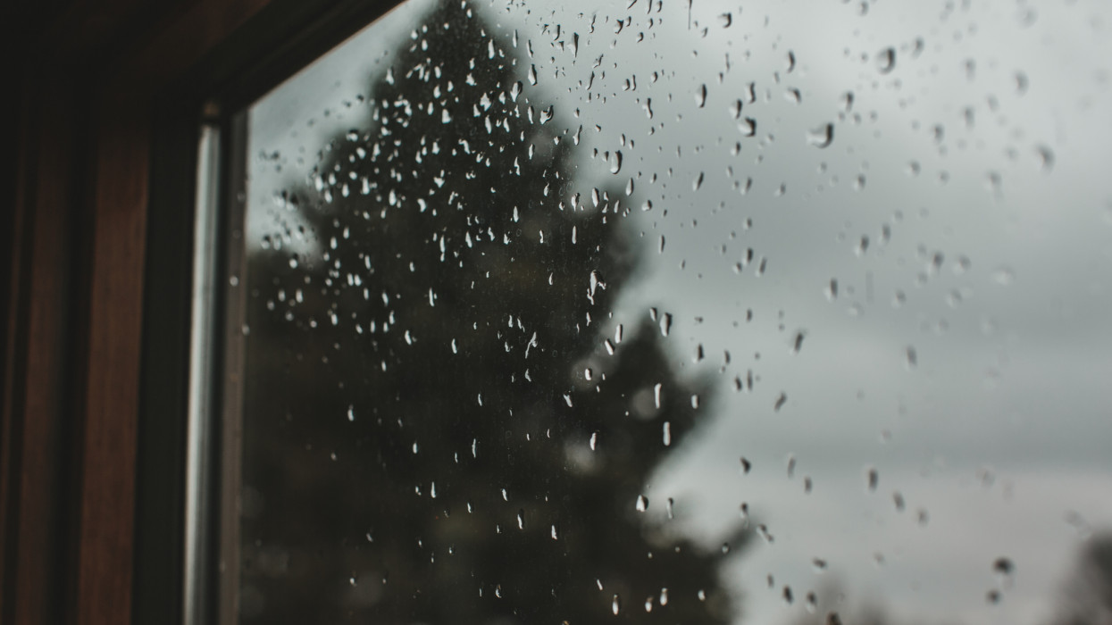 Looking throw a window at a gray overcast sky and a tall dark pine tree as rain drops cling to the window pain.