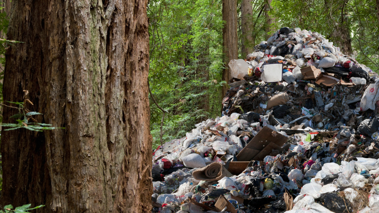 A huge pile of garbage is surrounded by evergreen trees.