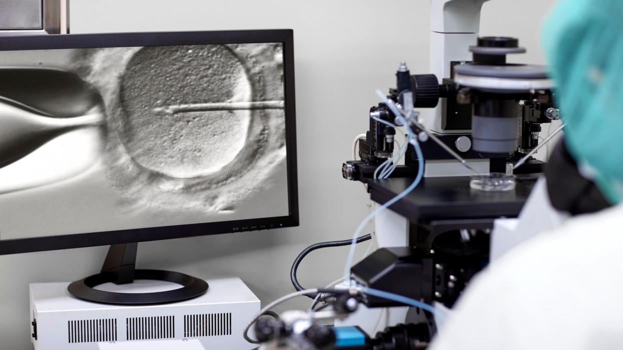 Kivágott kép a képernyőről, amelyen a kutató egy petesejtet megtermékenyítő mikroszkópba néz. Intracitoplazmatikus spermiuminjekció.