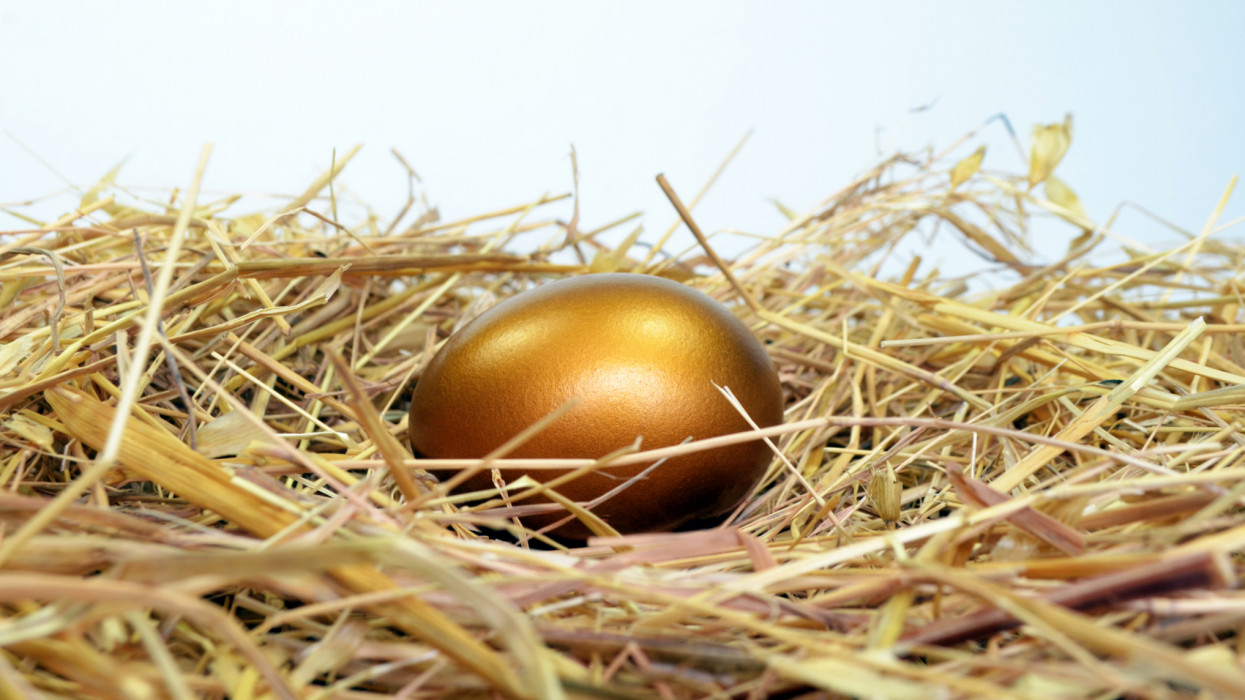 Golden Egg on a bed of straw