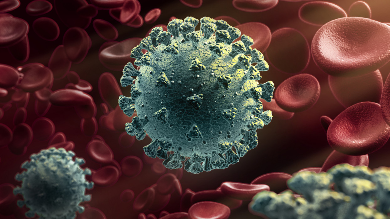 Virus around blood cells
