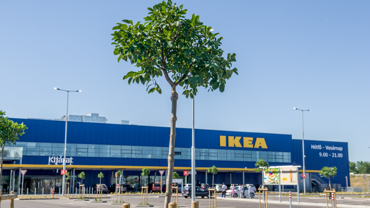 Így is lehet: válság, boltbezárás ellenére bért emel az IKEA