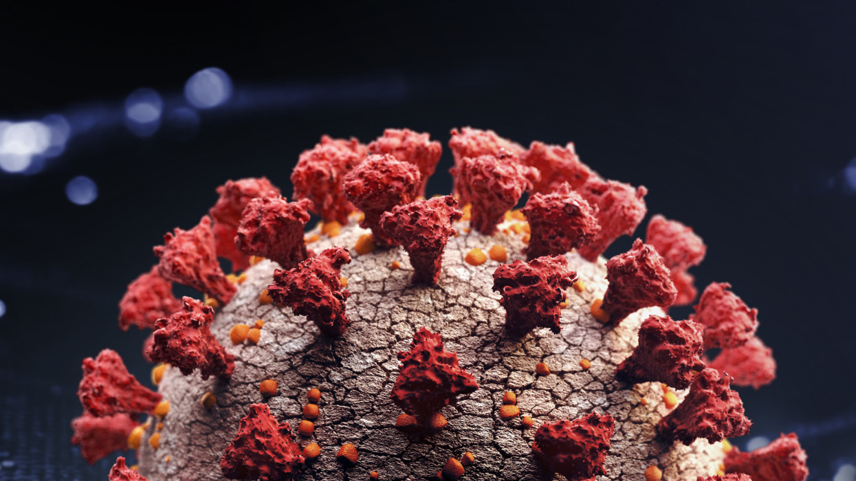 Corona virus close up