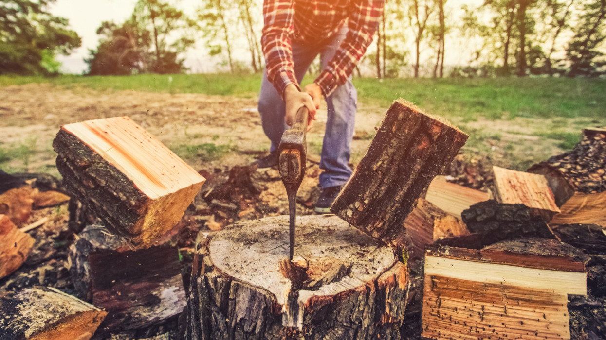 Male Lumberjack in the black-and-red plaid shirt with an ax chopping a tree in the forest.