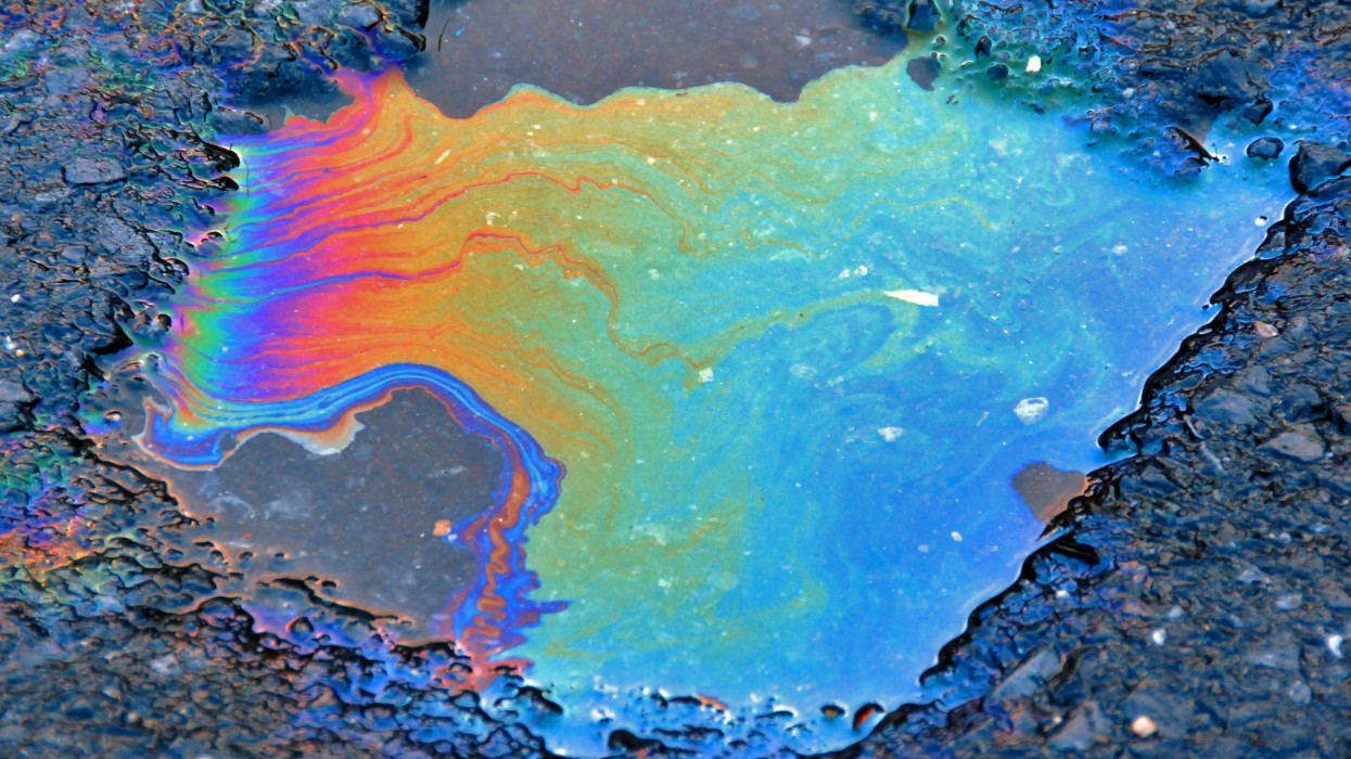 I found this oil slick at the park after a heavy rain in the winter.