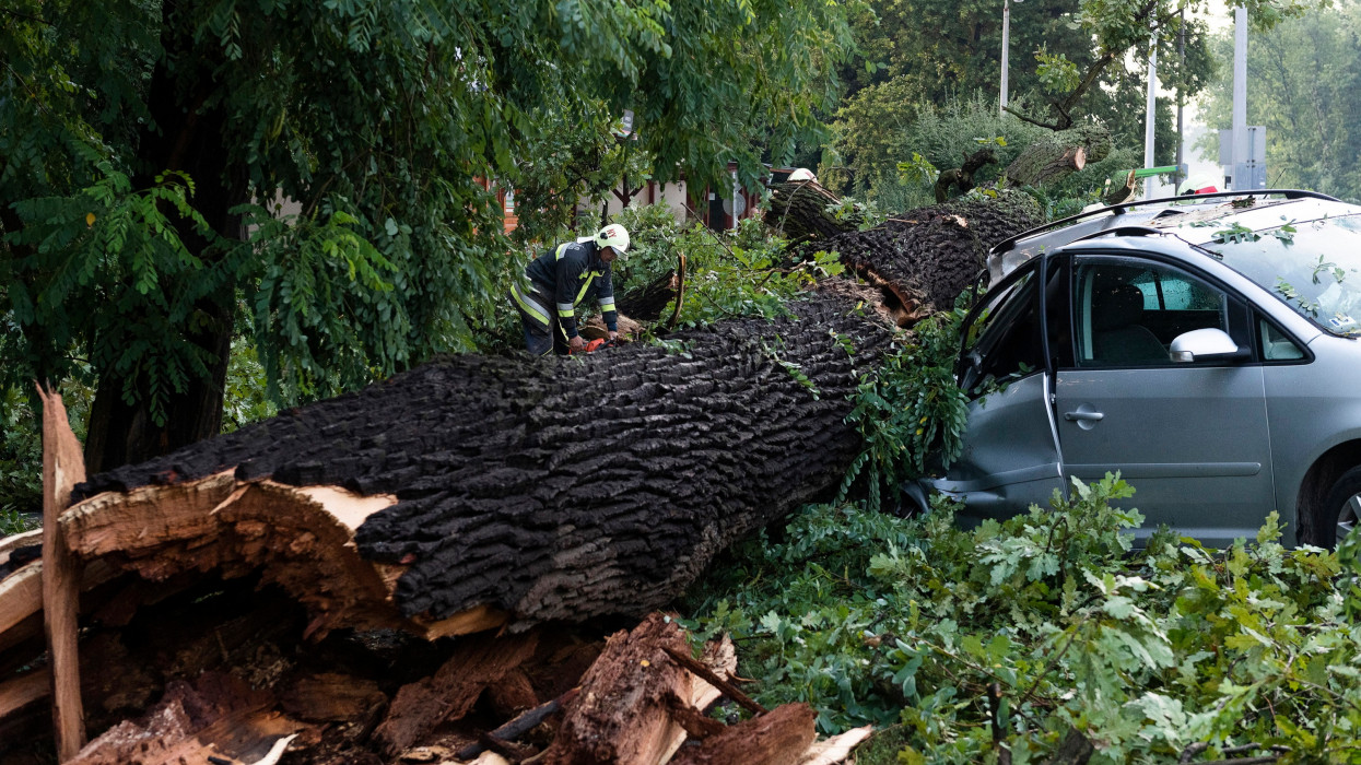 Nyíregyháza, 2021. augusztus 1.Autóra borult fákat távolítanak el vihar után Nyíregyházán, a Sóstói úton 2021. augusztus 1-jén.MTI/Balázs Attila