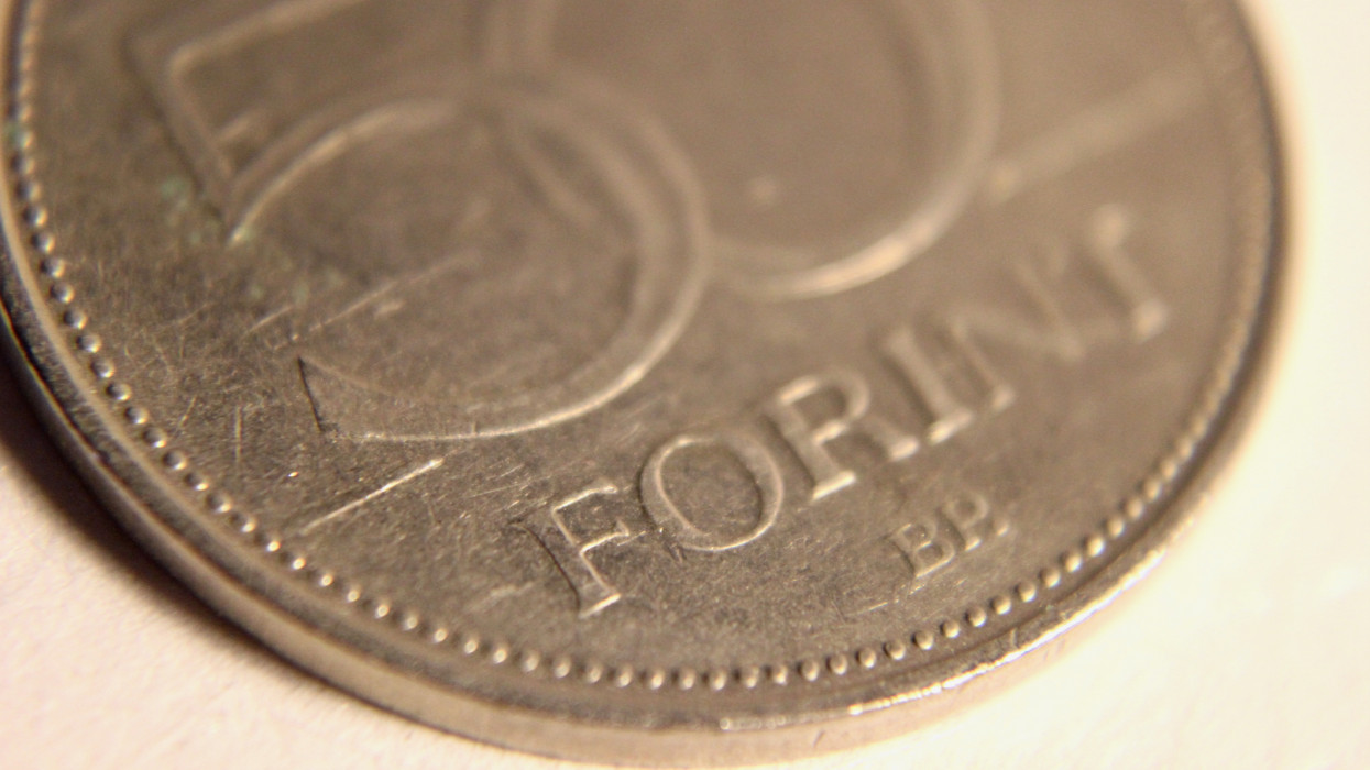 Close up of a Hungarian 50 Forint coin.