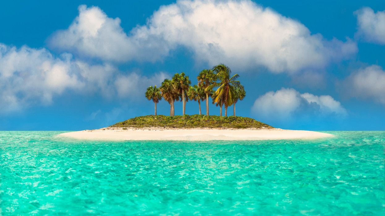 In a very remote area off the coast of St. Lucia - Martinique there is a tiny deserted Cay which exemplifies the idyllic paradise. A dozen palm trees tower over the petite Key. Lesser Antilles, Caribbean Sea.
