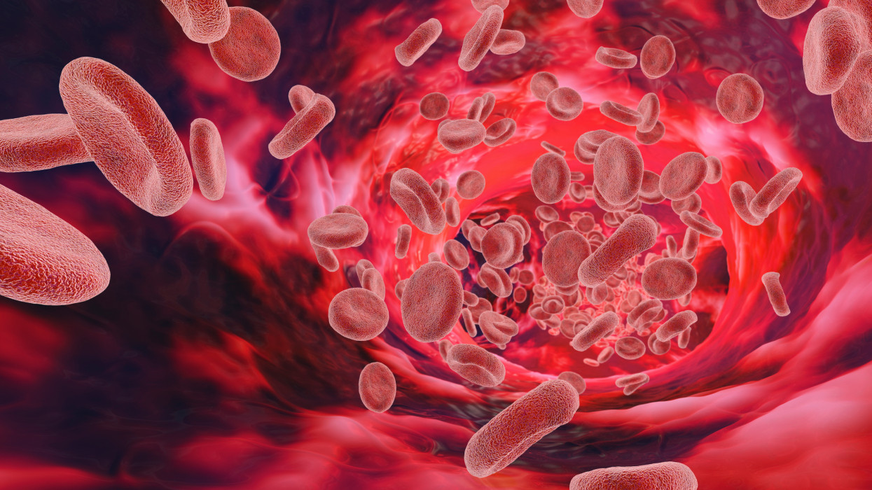 Red blood cells travel through a vessel or vein in this medical illustration of the biology of a human
