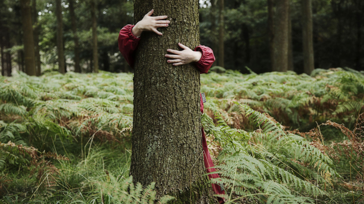 Young girl holding arms around tree in Danish forest at a forest kindergarten.