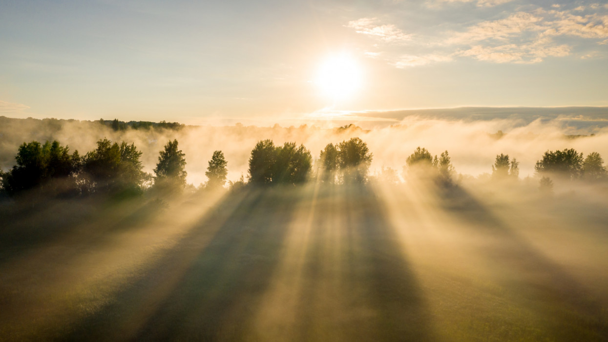 Early morning landscape. Foggy river. River valley in the morning fog at sunrise. View from above. Rays of the sun breaking through the fog in over the trees cimlapi