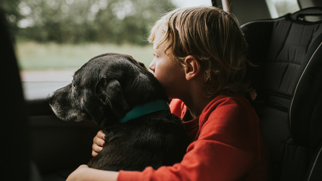 Cute boy, hugging his black Labrador cross dog, sitting in a booster seat in the back seat of a car. They both gaze out the window. Conceptual with space for copy.