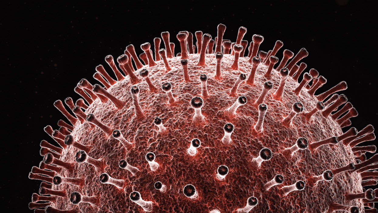 3D Rendering,Human coronavirus.Coronaviruses (CoV) are a large family of viruses that cause illness ranging from the common cold to more severe diseases such as Middle East Respiratory Syndrome (MERS-CoV) and Severe Acute Respiratory Syndrome (SARS-CoV). A novel coronavirus (nCoV) is a new strain that has not been previously identified in humans.