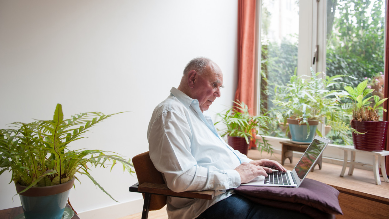 Seated by the window, surrounded by plants, a senior man is working on his laptop computer.