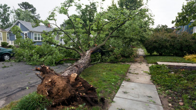 Pusztító vihar csapott le ismét az országra: fák dőltek ki, folyamatosak voltak a riasztások