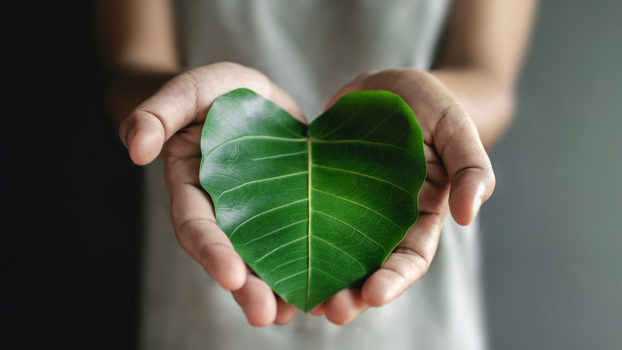 Green Energy, ESG, Renewable and Sustainable Resources. Environmental and Ecology Care Concept. Close up of Hand holding a Heart Shape Green Leaf