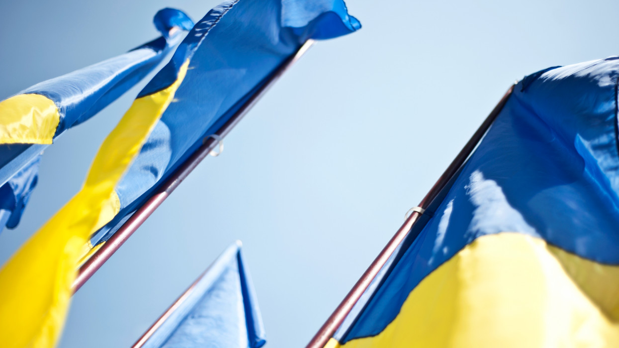 Image taken at the Presidential Administration Building in Kiev city. These flags were part of a display for the Flag day and Independence say celebrations.