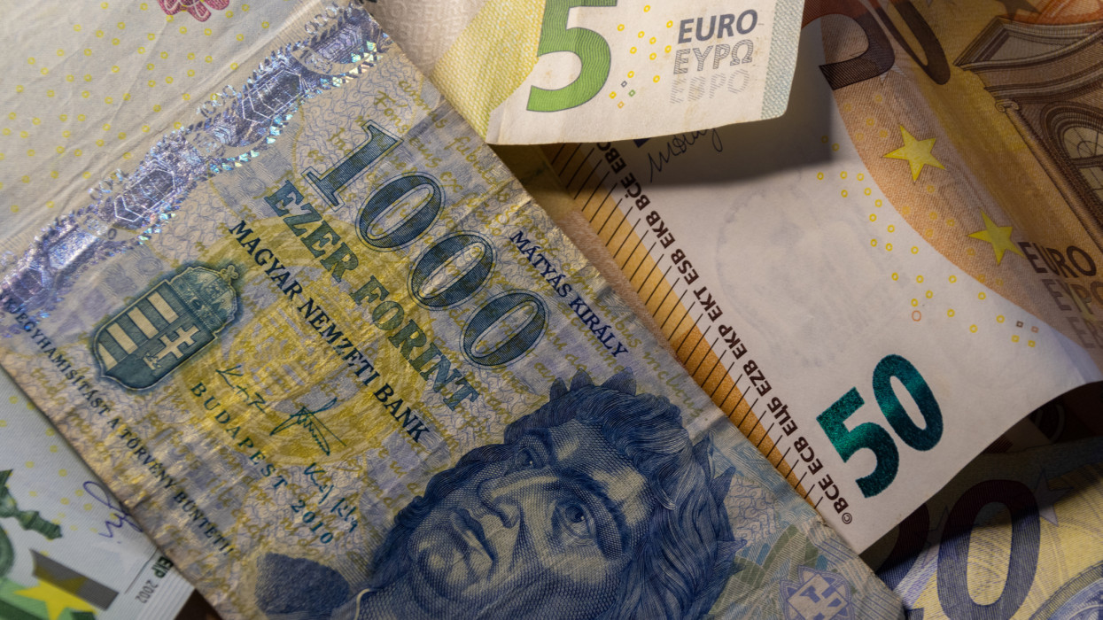 Money: euro and Hungarian forint banknotes