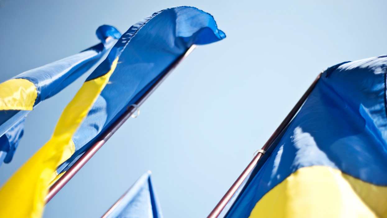 Image taken at the Presidential Administration Building in Kiev city. These flags were part of a display for the Flag day and Independence say celebrations.