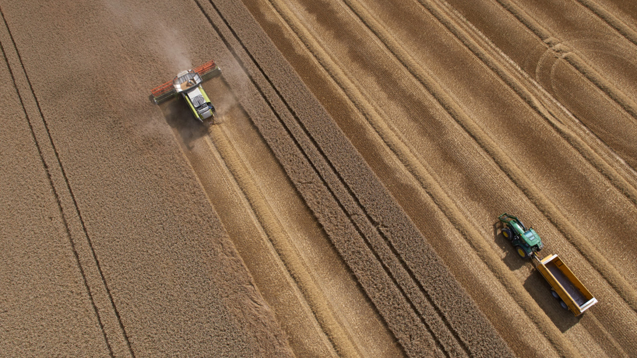 Large combine and tractor harvesting crop in neat lines, aerial view.  Captured by a licensed UAV operator with a permission for aerial work.